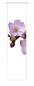 Preview: Flächenvorhang Die Blüte , Schiebevorhang, Schiebegardine, modern, 60 cm breit, 2,65 m hoc